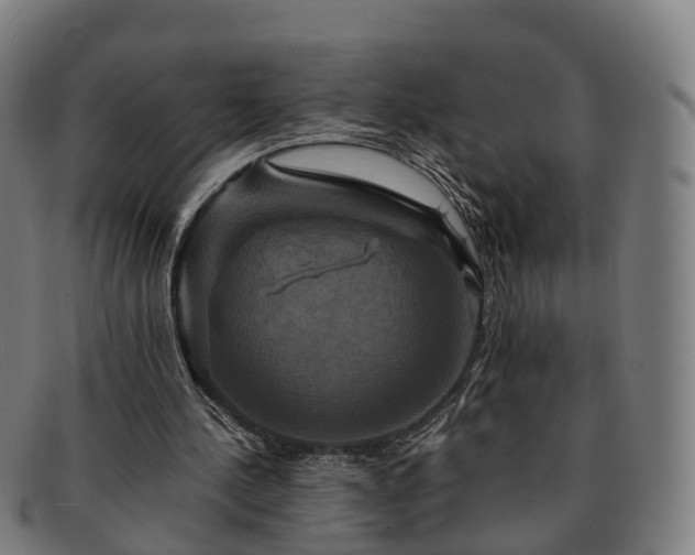 X0000091710244200708311122