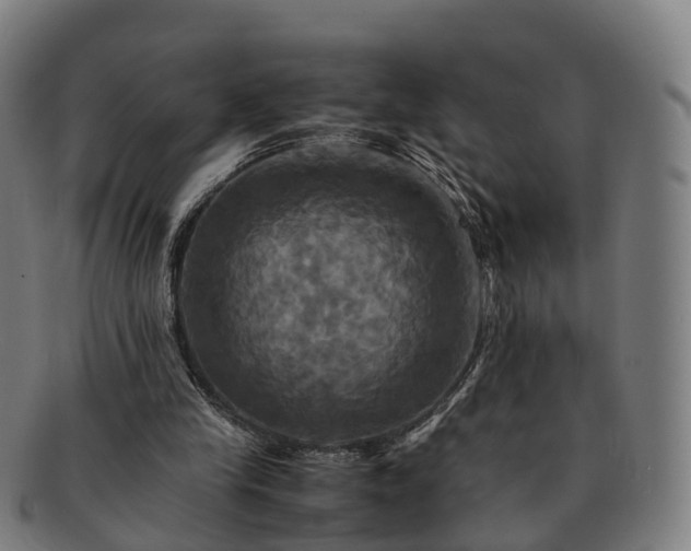 X0000091710245200708311122