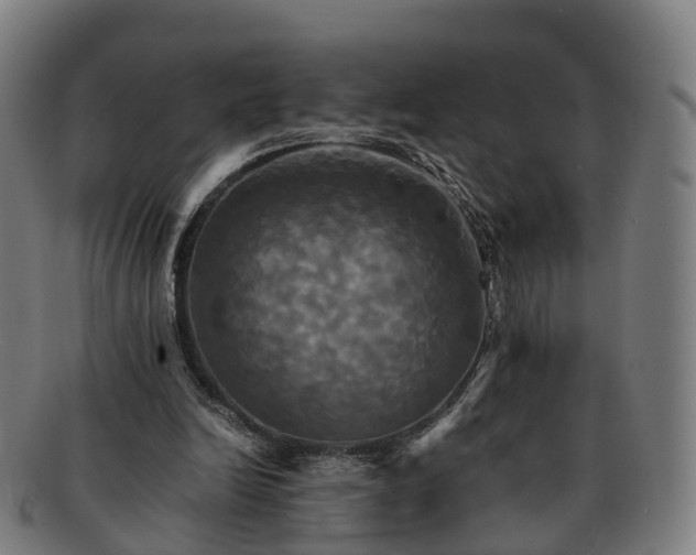 X0000091710246200708311122