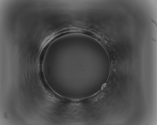 X0000091710247200708311122