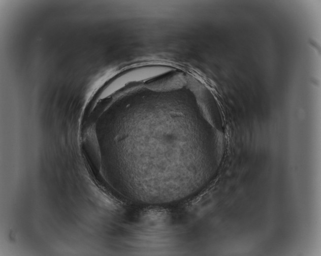 X0000091710248200708311122