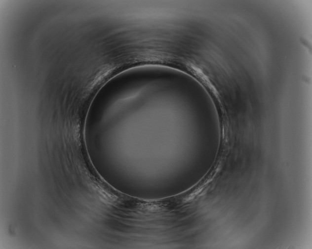 X0000091710249200708311122