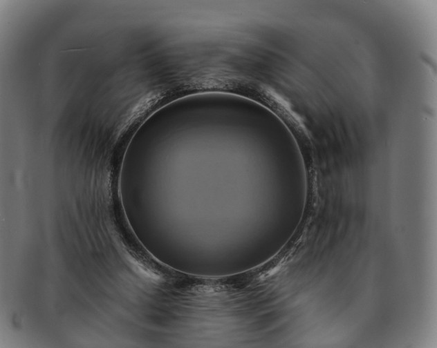 X0000091710250200708311122