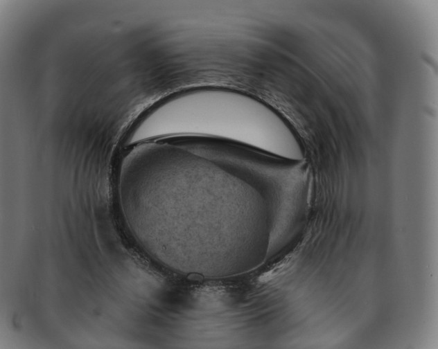 X0000091710252200708311122