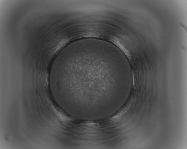 X0000091710253200708311122