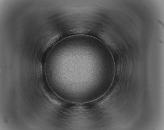 X0000091710254200708311122