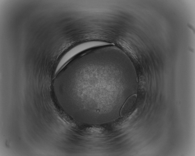 X0000091710255200708311122