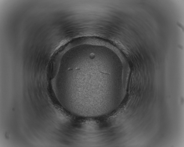 X0000091710256200708311122