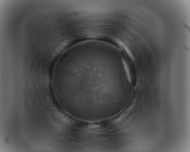 X0000091710257200708311122