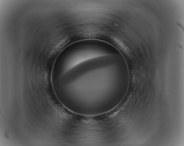 X0000091710258200708311122