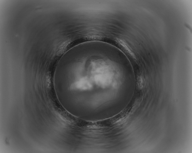 X0000091710259200708311122