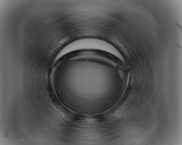 X0000091710260200708311122