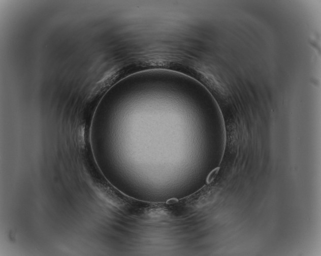 X0000091710262200708311122