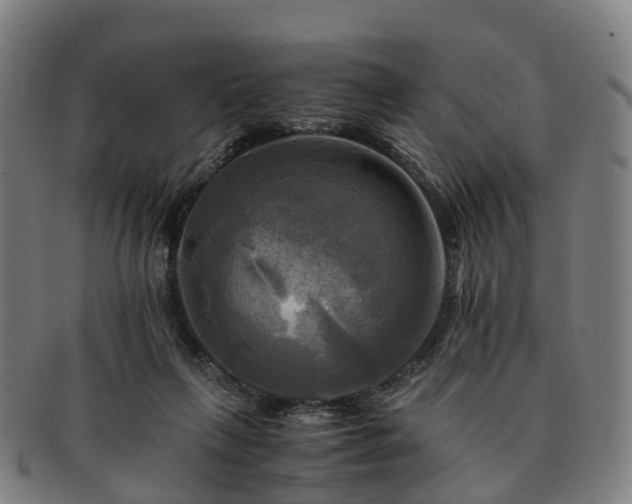 X0000091710263200708311122