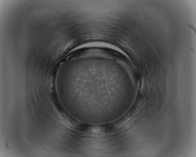 X0000091710264200708311122