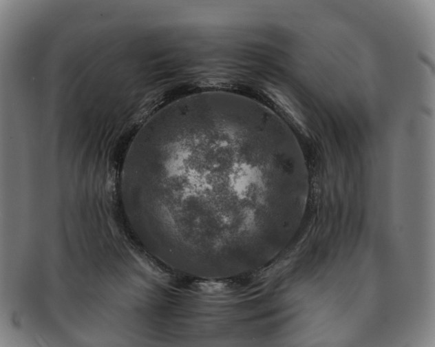 X0000091710265200708311122