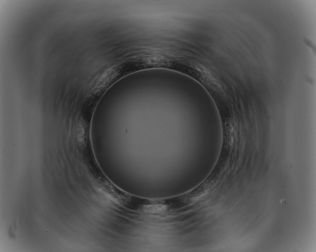 X0000091710266200708311122