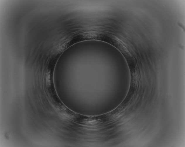 X0000091710267200708311122