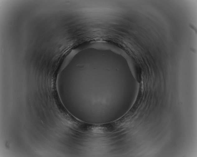 X0000091710268200708311122