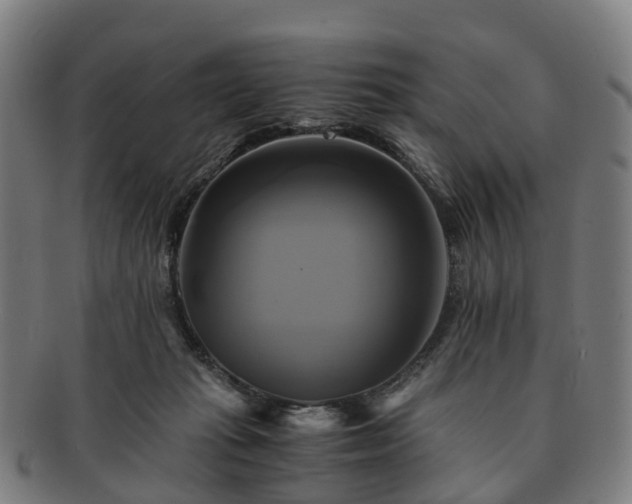 X0000091710269200708311122