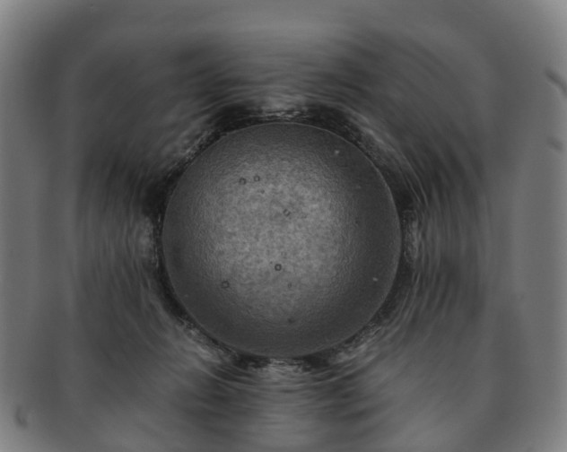 X0000091710270200708311122