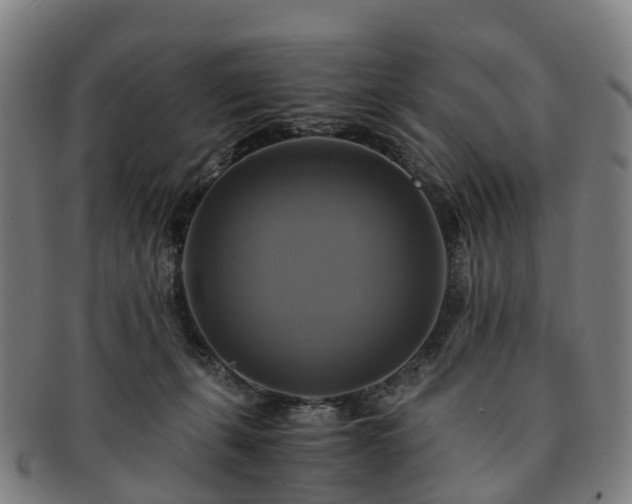 X0000091710271200708311122