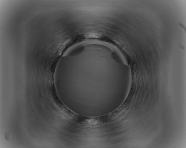 X0000091710272200708311122