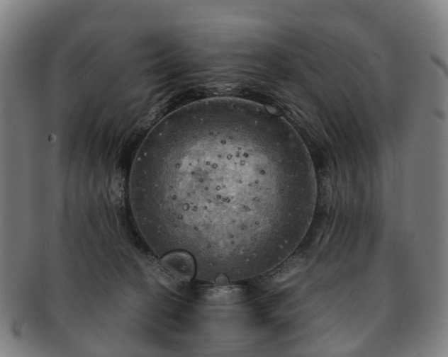 X0000091710274200708311122