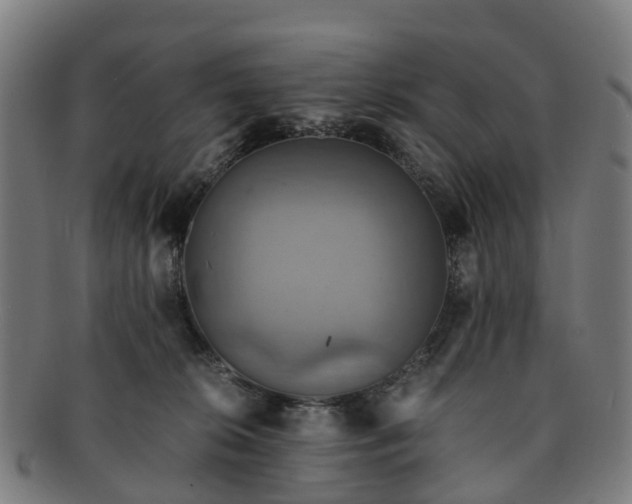 X0000091710276200708311122