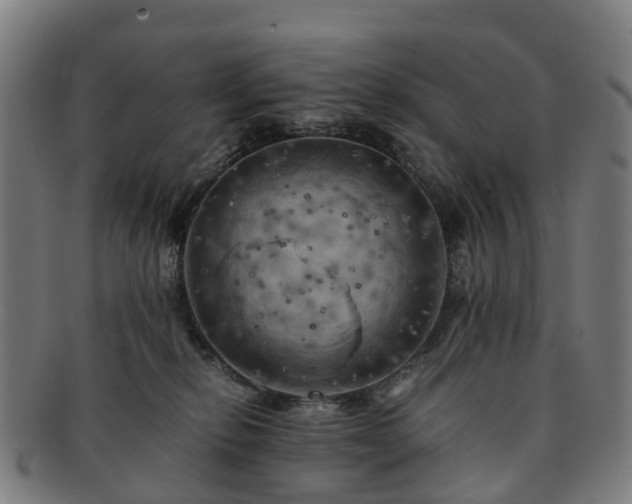 X0000091710278200708311122