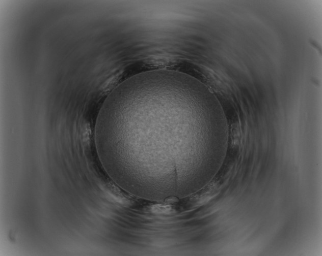 X0000091710279200708311122