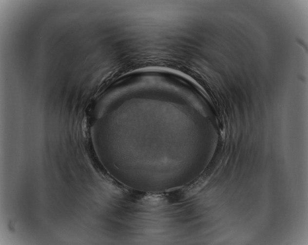 X0000091710280200708311122