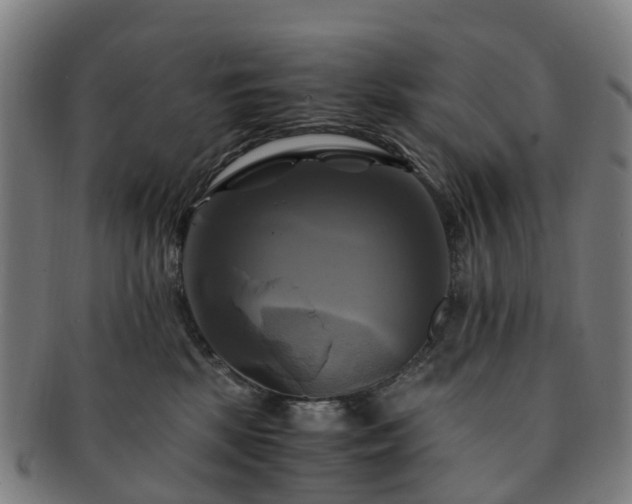 X0000091710281200708311122