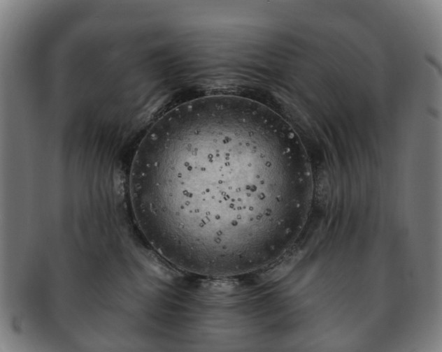 X0000091710282200708311122