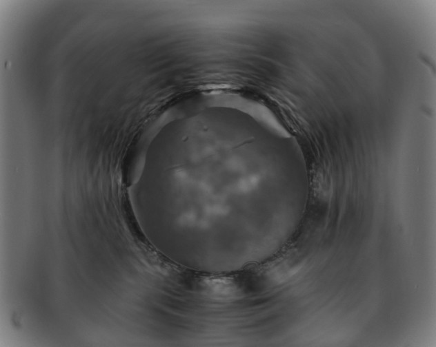 X0000091710283200708311122