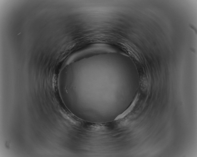 X0000091710284200708311122