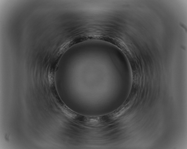 X0000091710285200708311122