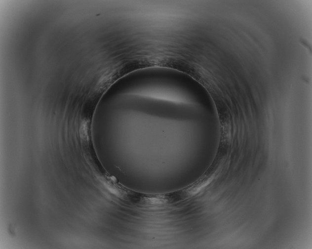 X0000091710286200708311122