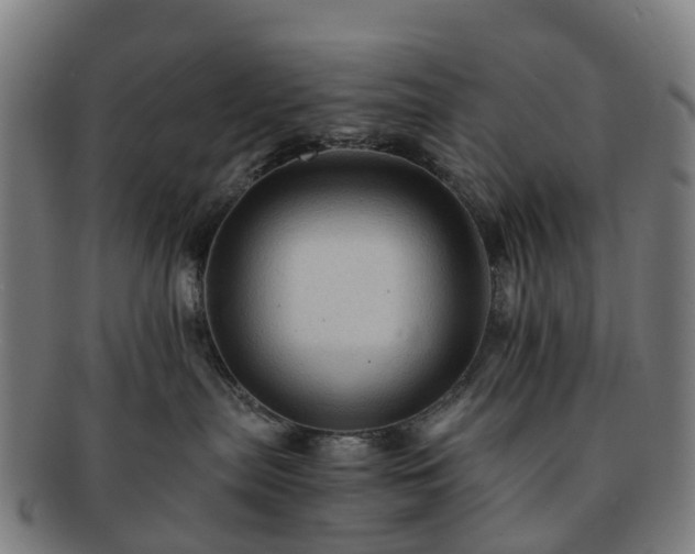 X0000091710287200708311122