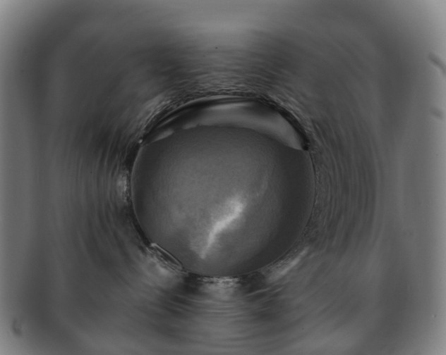 X0000091710288200708311122