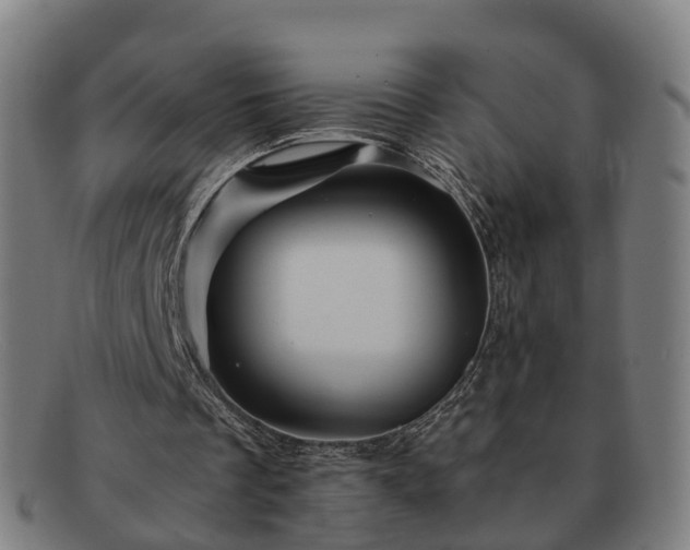 X0000091710289200708311122