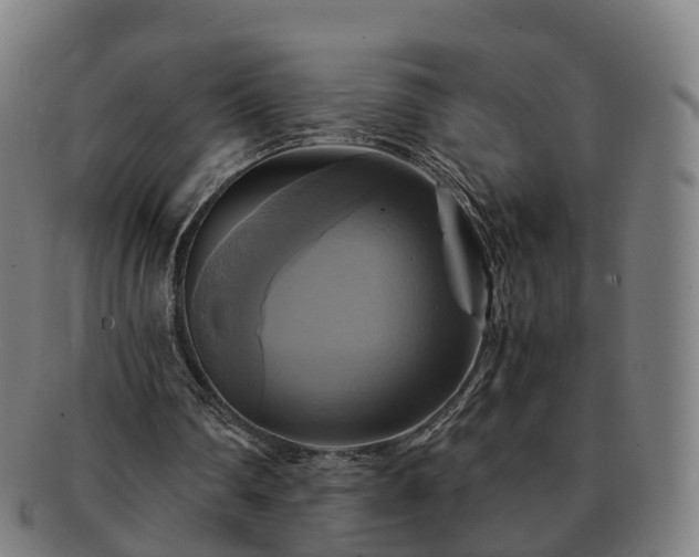 X0000091710290200708311122