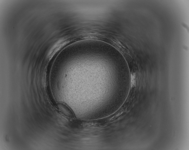 X0000091710291200708311122