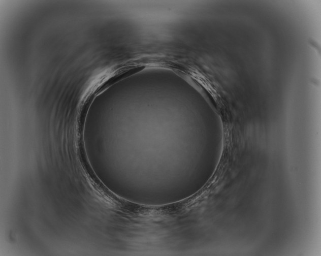 X0000091710293200708311122