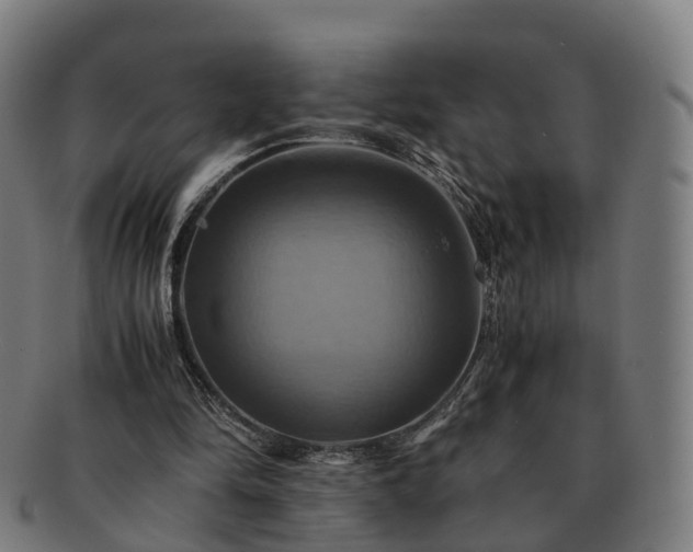 X0000091710294200708311122