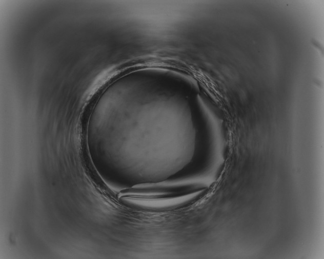 X0000091710295200708311122