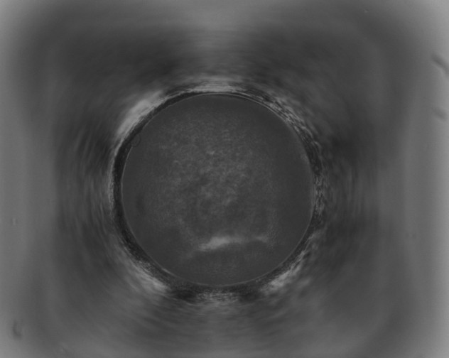 X0000091710296200708311122