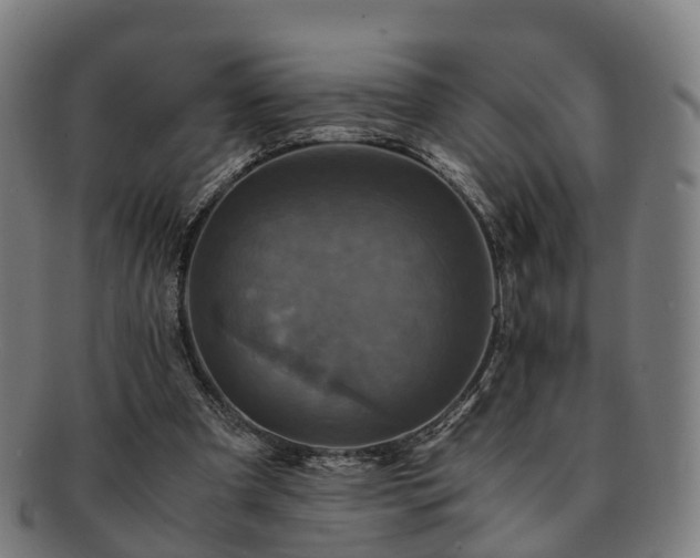 X0000091710297200708311122