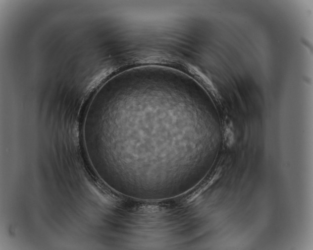 X0000091710298200708311122