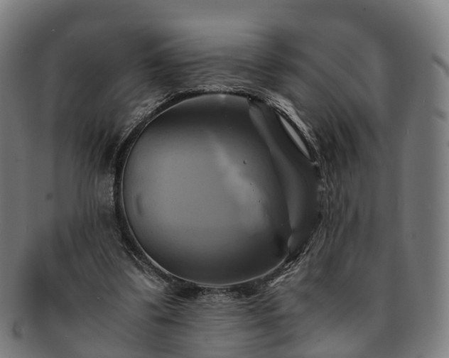 X0000091710299200708311122